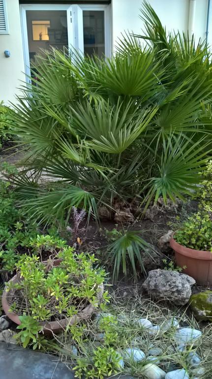 Appartamento Tulipano Alghero Dış mekan fotoğraf